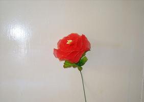 Yarn-Dyed Silk Fabric Rose